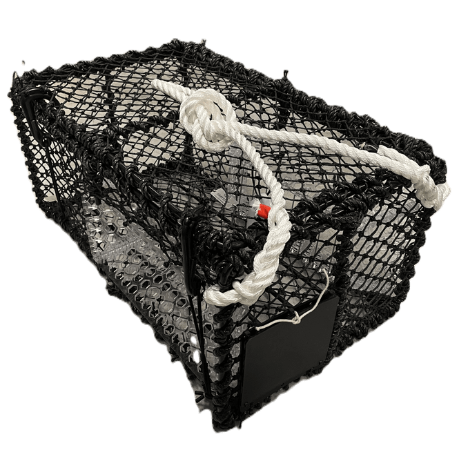 Hovedbilde Kamskjellteine 10,5kg