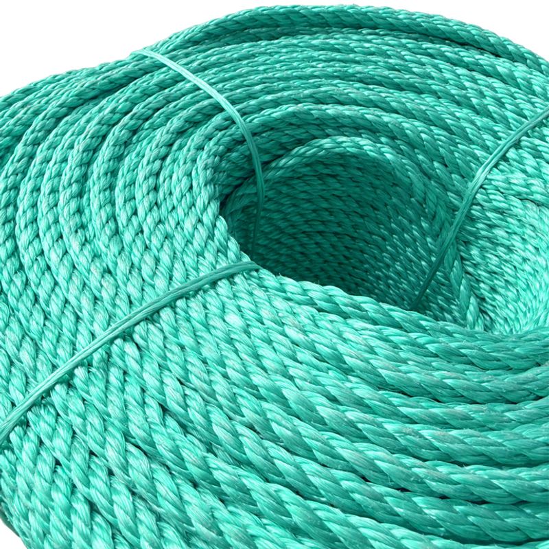 Danline 10mm Teine rope pro, 3 turns green, 110m